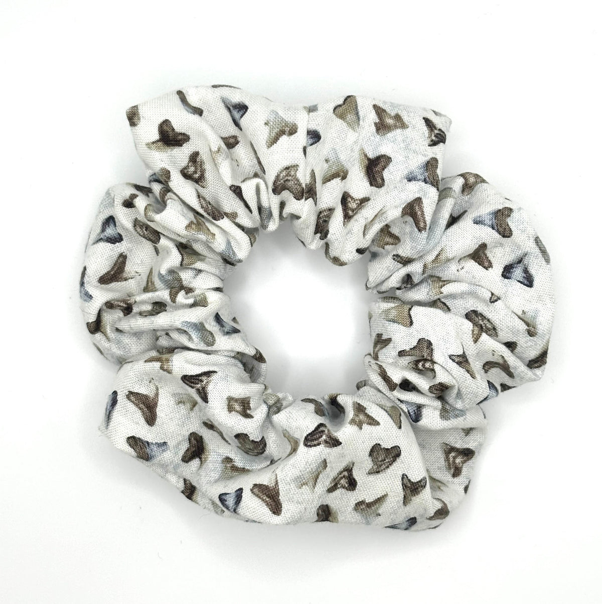 Shark Teeth